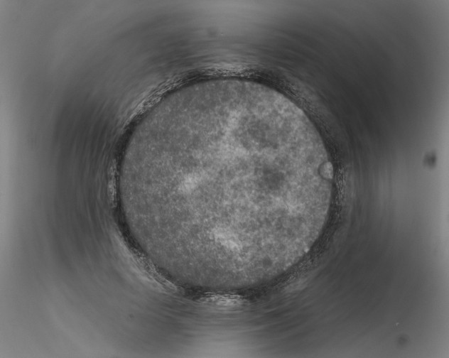 X0000115600642200912221147