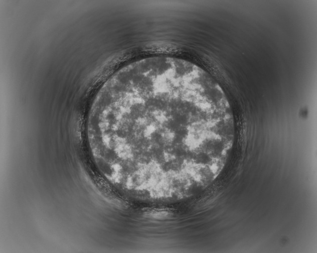 X0000115600643200912221147