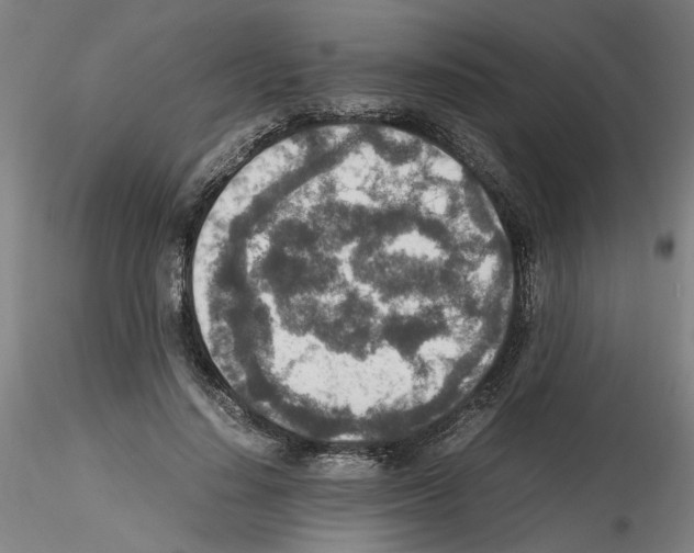 X0000115600644200912221147