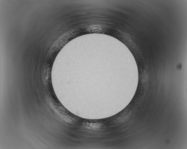 X0000115600645200912221147