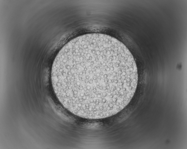 X0000115600646200912221147