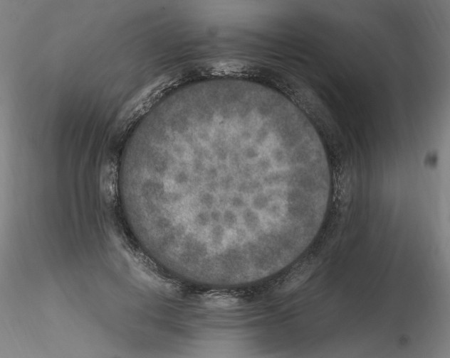 X0000115600648200912221147