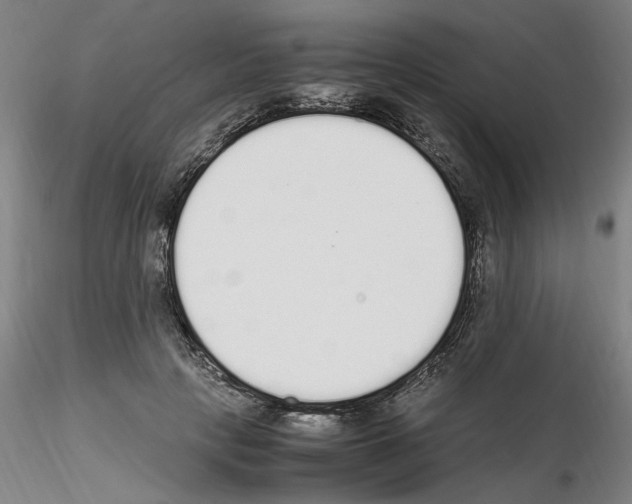 X0000115600649200912221147