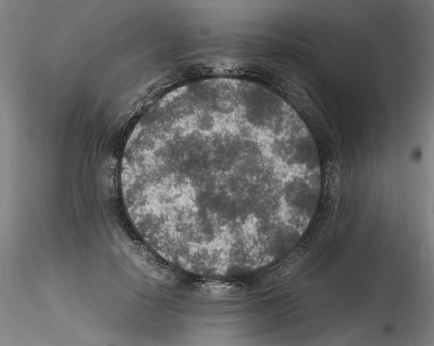 X0000115600650200912221147