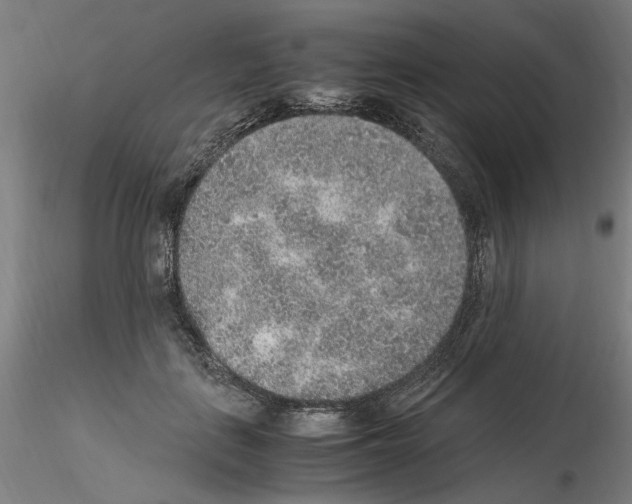 X0000115600651200912221147