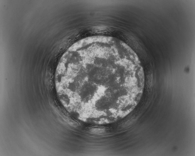 X0000115600653200912221147