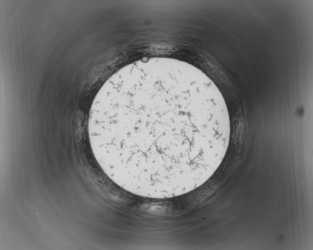 X0000115600655200912221147