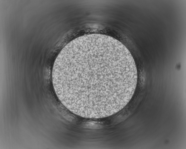 X0000115600657200912221147