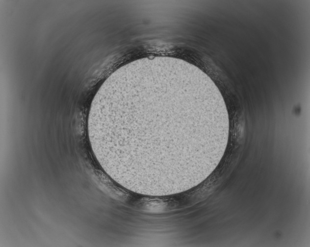 X0000115600658200912221147