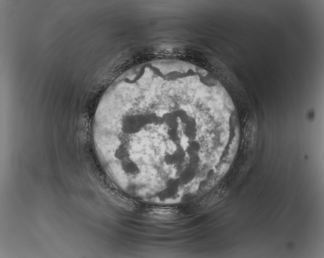 X0000115600659200912221147