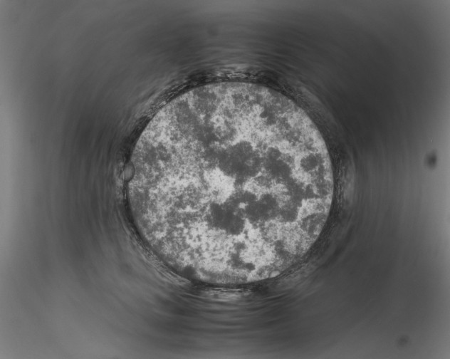 X0000115600661200912221147