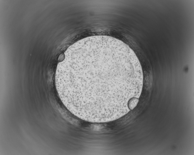 X0000115600662200912221147