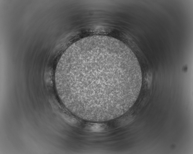 X0000115600663200912221147