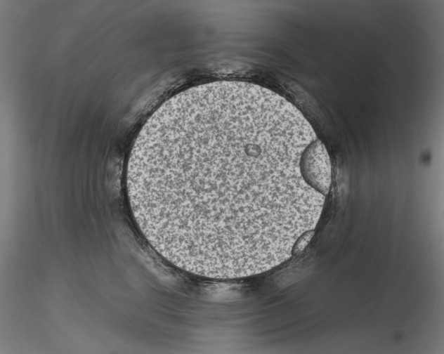 X0000115600664200912221147