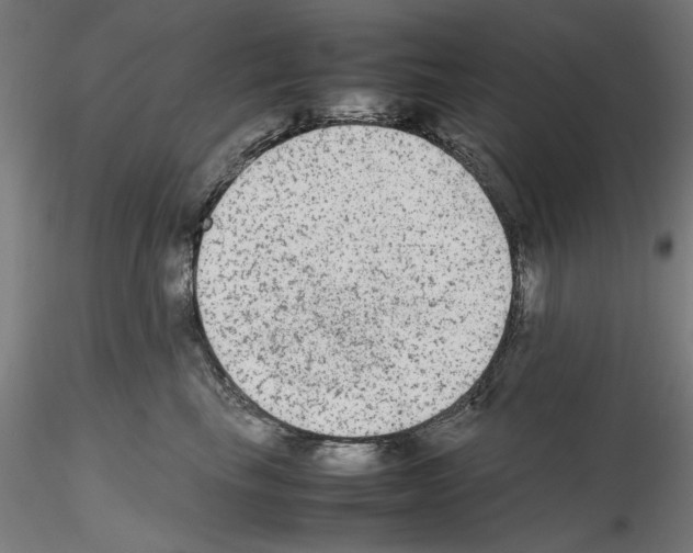 X0000115600665200912221147