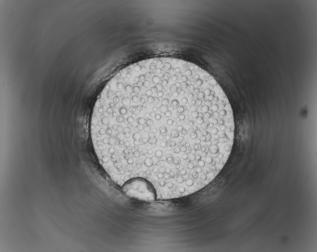 X0000115600666200912221147