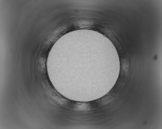 X0000115600667200912221147