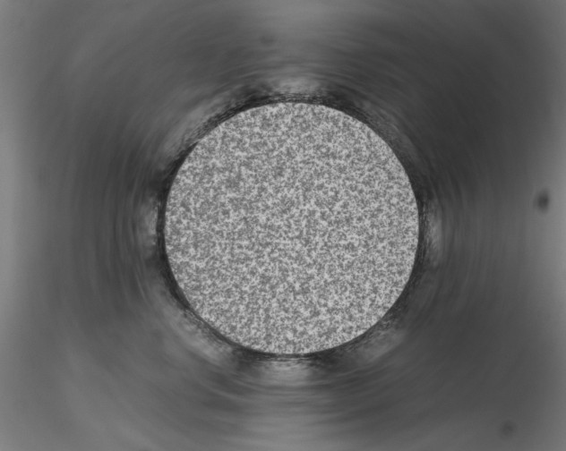 X0000115600668200912221147