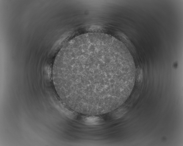 X0000115600669200912221147