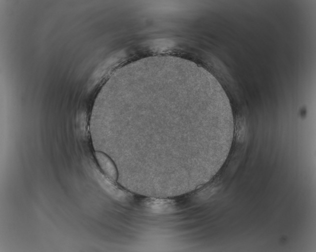 X0000115600670200912221147