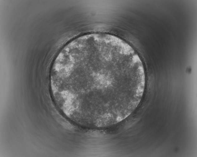 X0000115600673200912221147