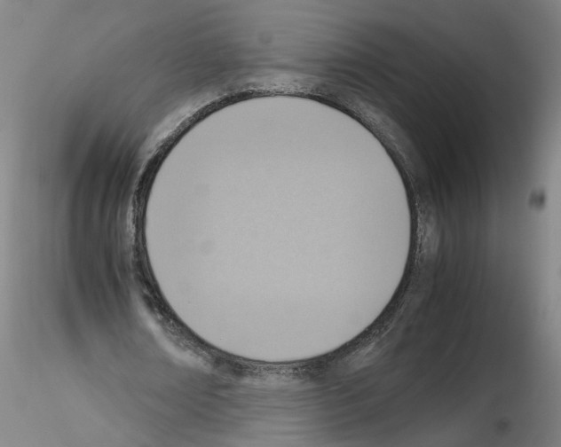 X0000115600674200912221147