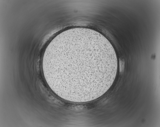 X0000115600675200912221147