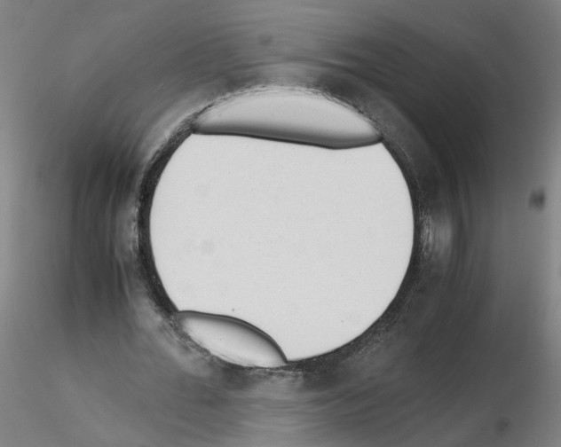 X0000115600676200912221147