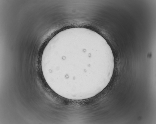 X0000115600679200912221147