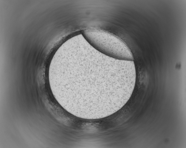 X0000115600680200912221147