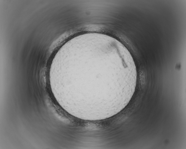 X0000115600682200912221146