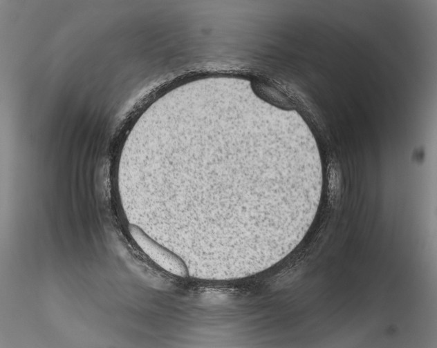 X0000115600684200912221146