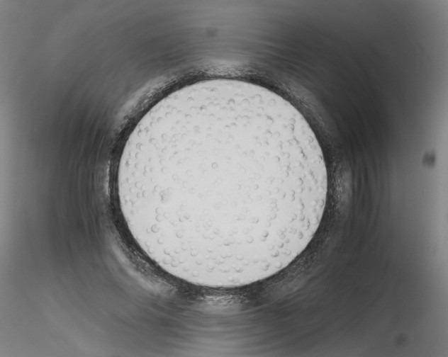 X0000115600686200912221146