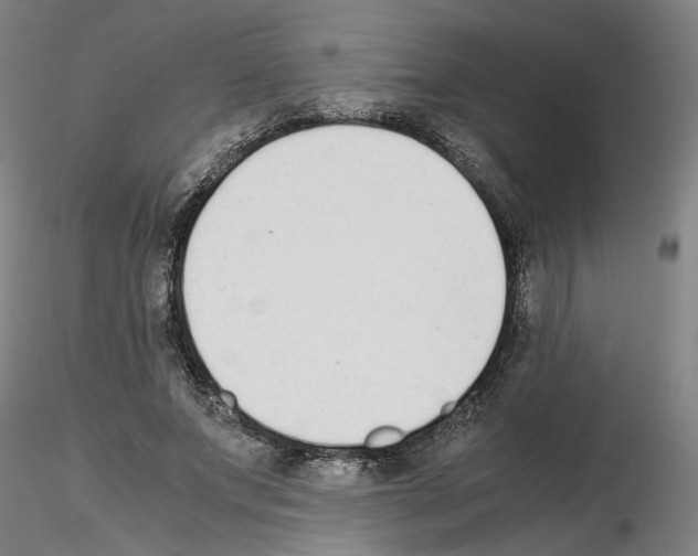 X0000115600687200912221146