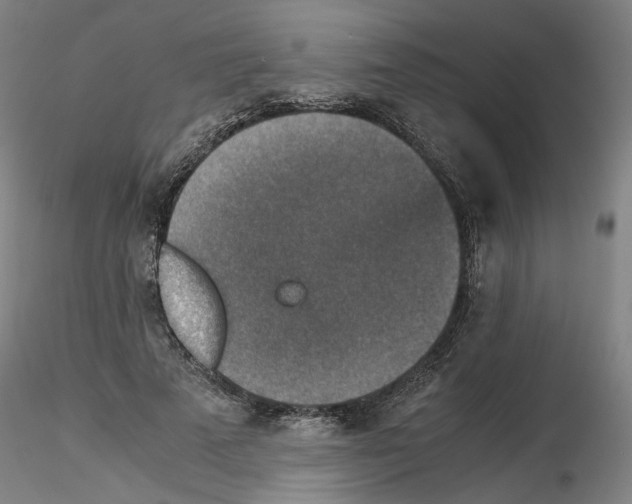 X0000115600689200912221146