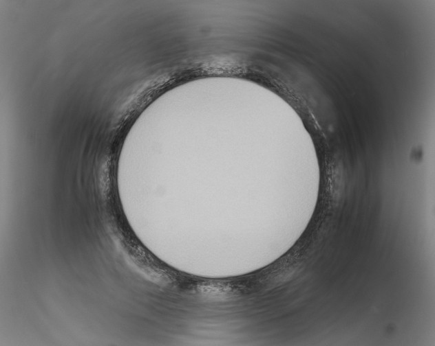 X0000115600690200912221146