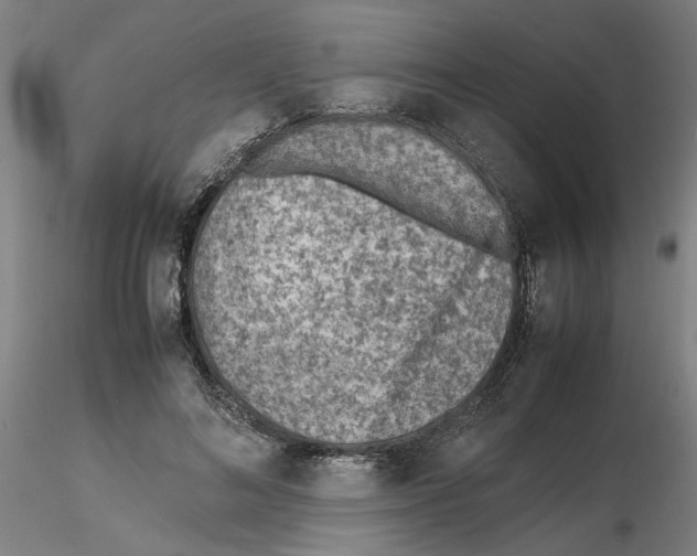 X0000115600692200912221146