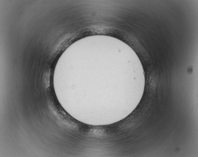 X0000115600694200912221146