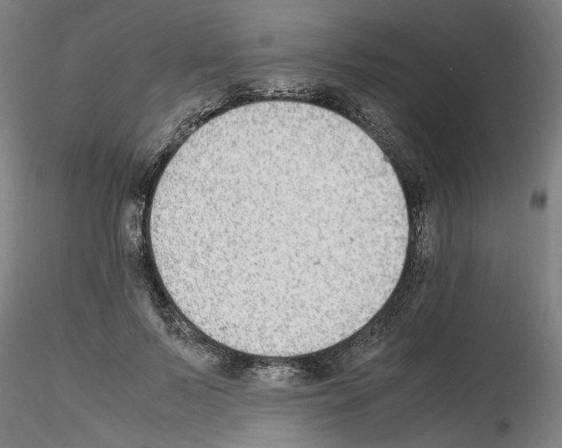 X0000115600695200912221146