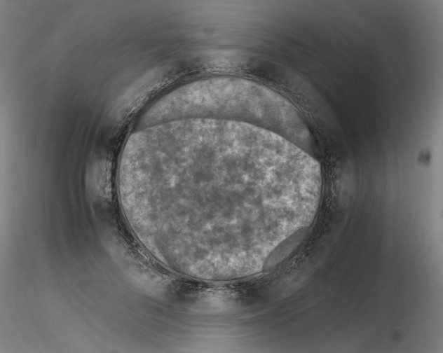 X0000115600696200912221146