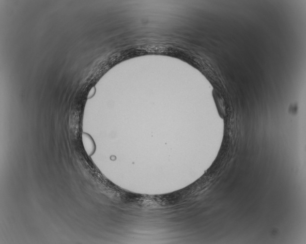 X0000115600697200912221146