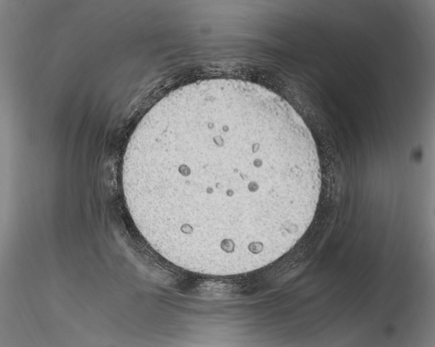 X0000115600699200912221146