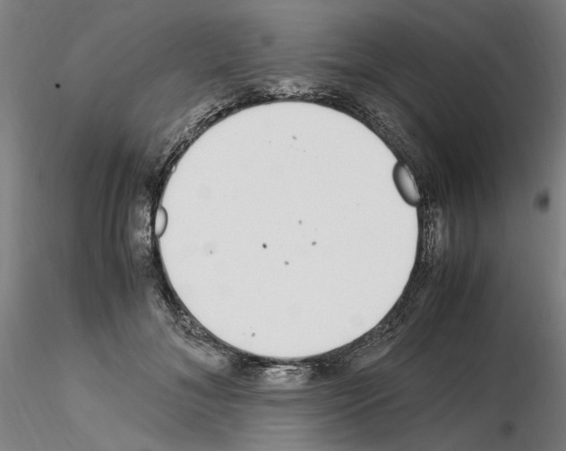 X0000115600700200912221146