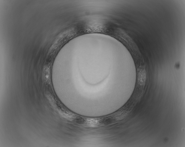 X0000115600701200912221146