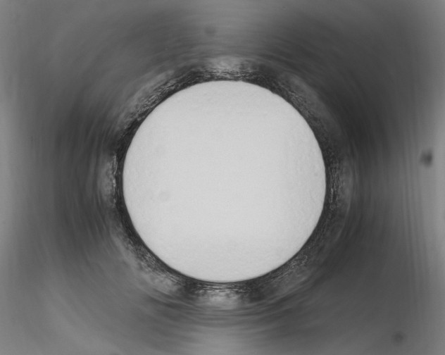 X0000115600702200912221146