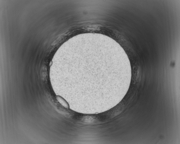 X0000115600704200912221146