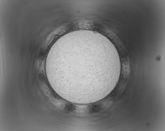 X0000115600705200912221146