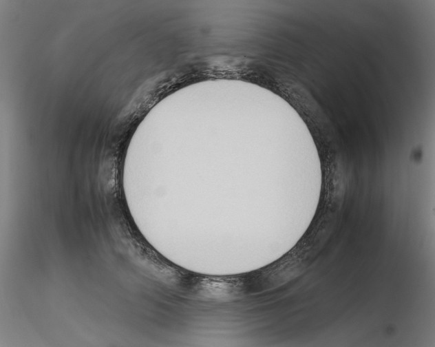 X0000115600706200912221146