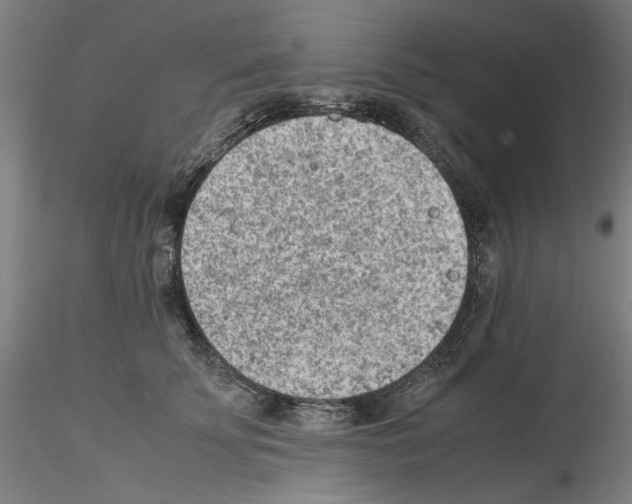 X0000115600707200912221146