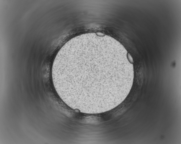 X0000115600708200912221146